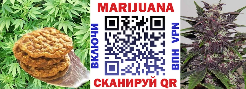 Canna-Cookies марихуана купить закладку Дыгулыбгей