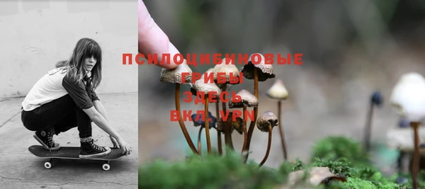 крисы Арсеньев