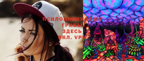 spice Чердынь