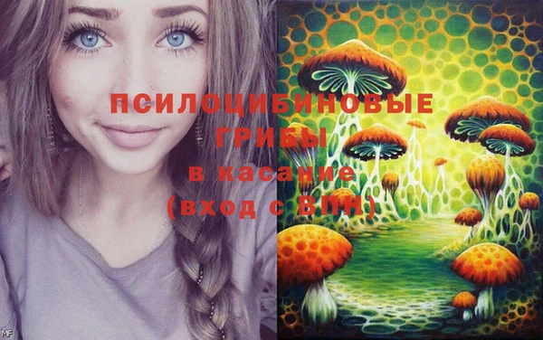 крисы Арсеньев